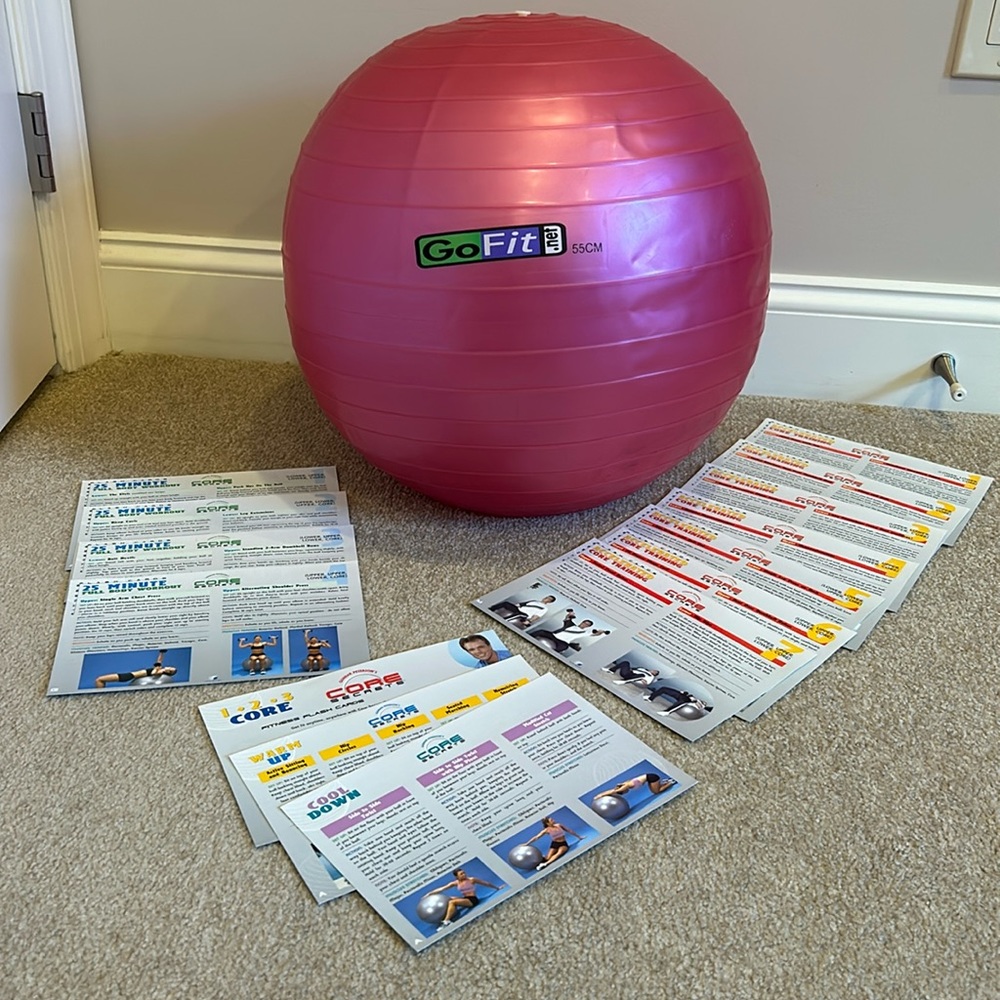 Go fit 55 cm ball with core secret workout cards